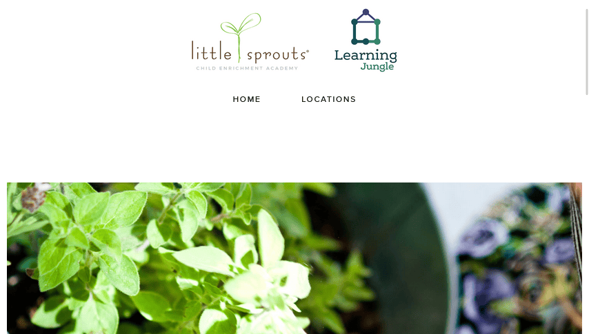 Little Sprouts website