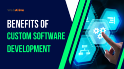 7 Benefits of Custom Software Development for Business