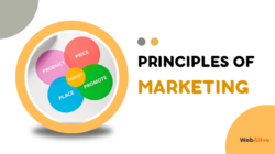 The 7 Principles of Marketing Explained